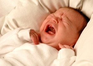 Когда лезут клыки у ребенка: особенности и самые болезненные симптомы